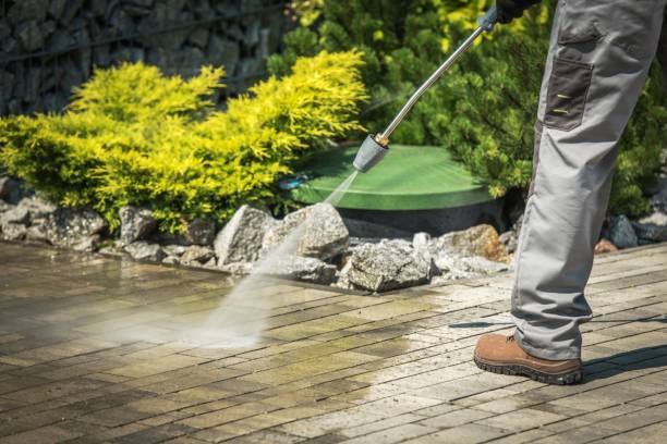 Best Roof Cleaning and Mildew Removal in Manasquan, NJ